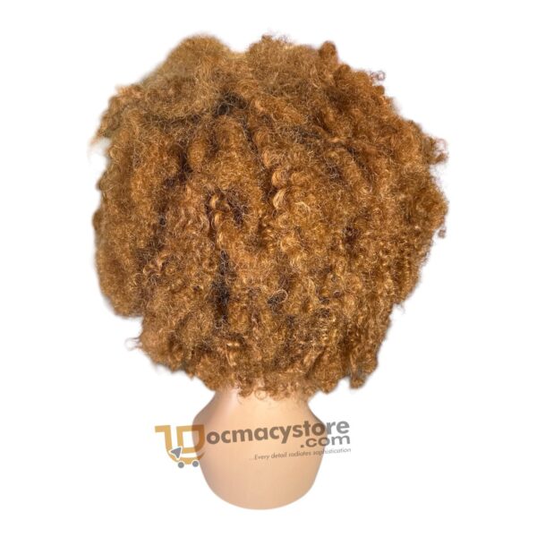 Afro Kinky Curly Full Lace Braided Wig, with front baby hair lace. - Image 2